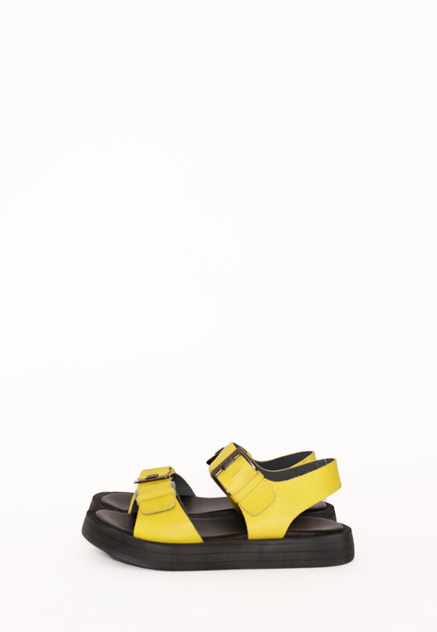 Sandal with a rubber sole and buckle