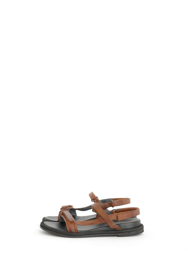 Sandals - Lofina - The sandal with buckles