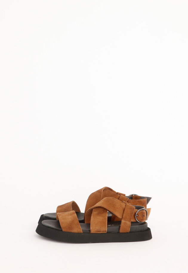 Lofina - Sandal in suede with buckle